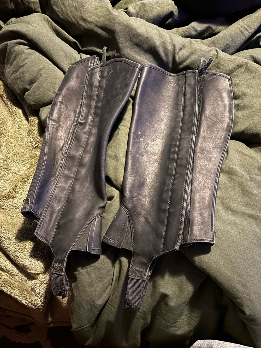 Ariat Black Leather Half-Chaps for Women - Riding